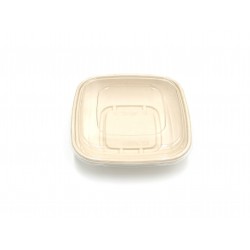 Barquette pulp ovale + couvercle PET